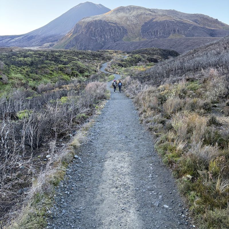 Wandelaars op het grindpad van de Tongariro Alpine Crossing met de Ngauruhoe op de achtergrond, Nieuw-Zeeland