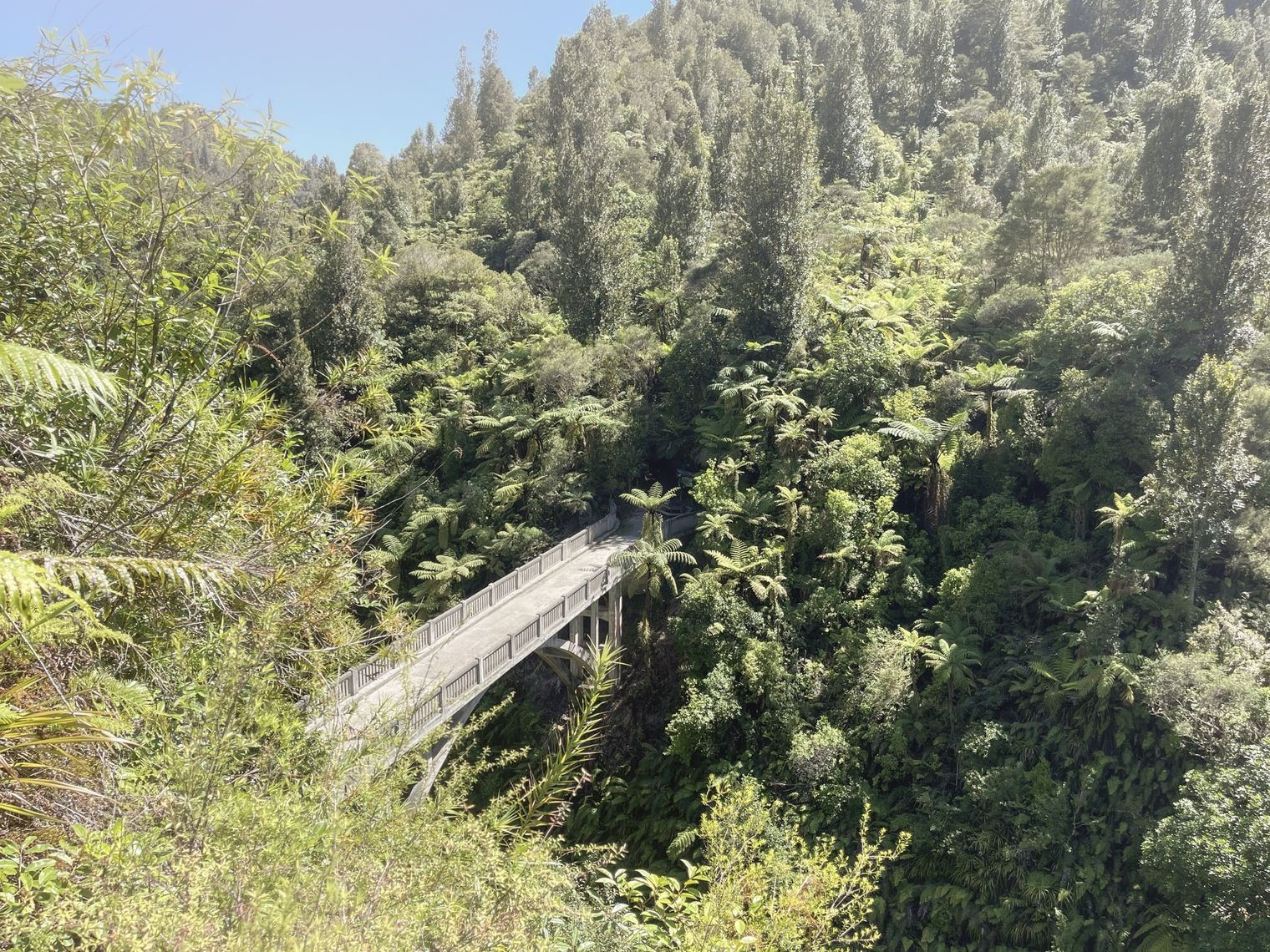 De Bridge of Nowhere, verschijnend te midden van het weelderige regenwoud.