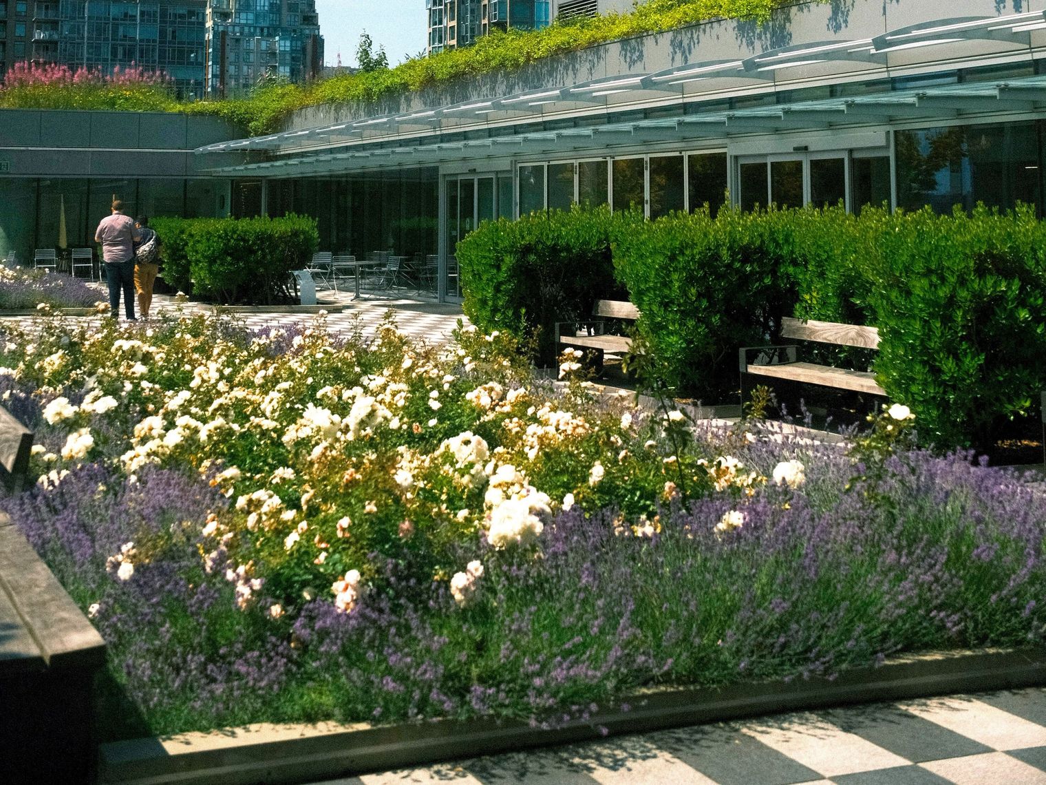 Begrünter Dachgarten mit blühenden Beeten und Sitzgelegenheiten in Vancouver, Kanada