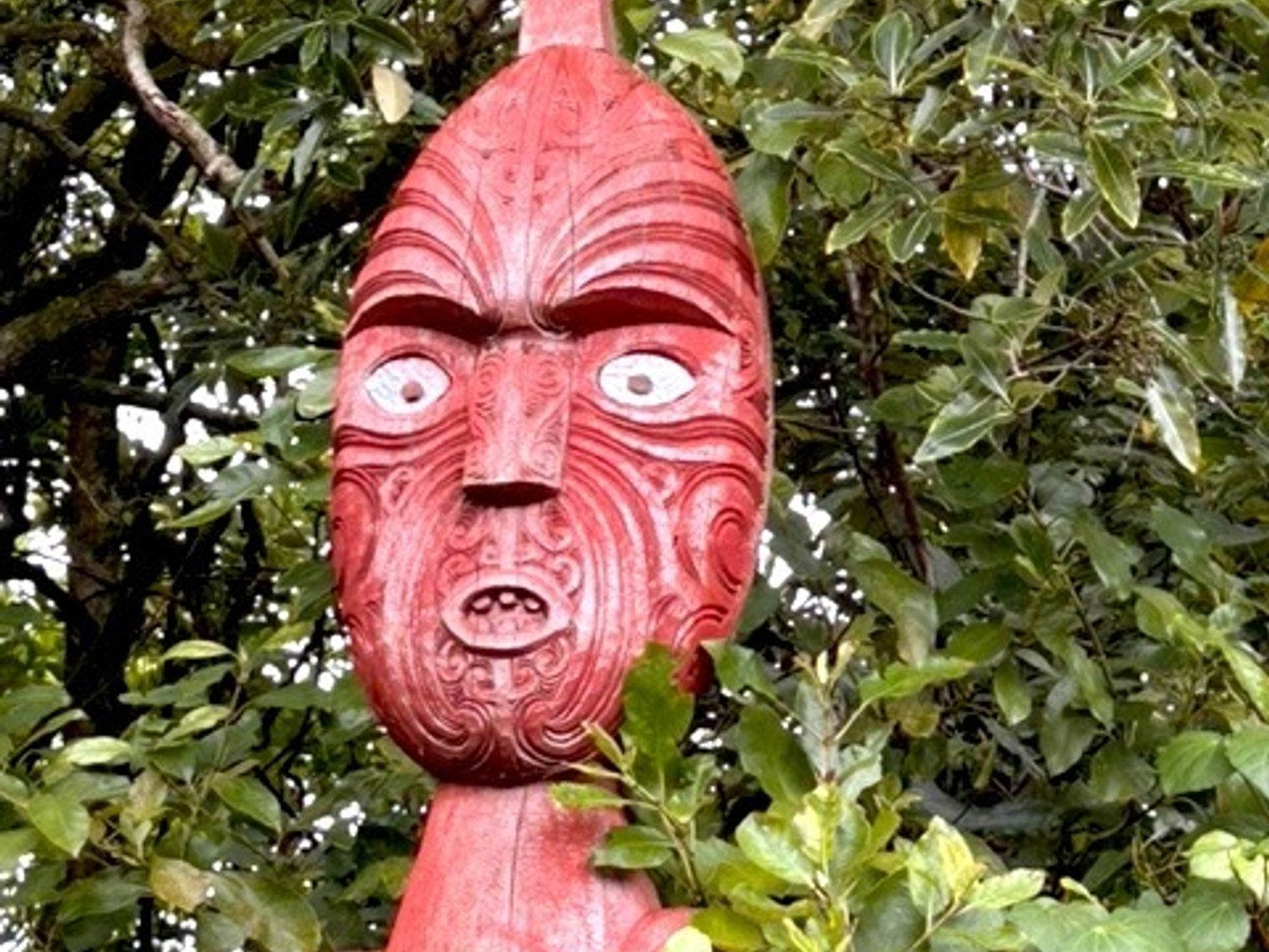 Australien Neuseeland Kunden feedback Maori