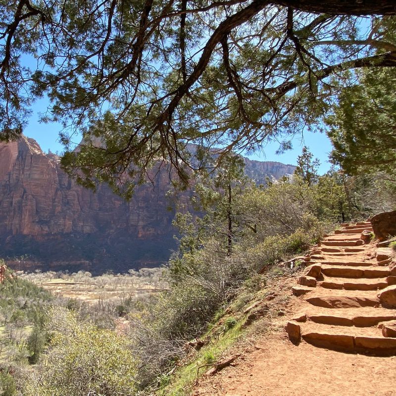 Littleamerica usa zion nationalpark middle emerald pools