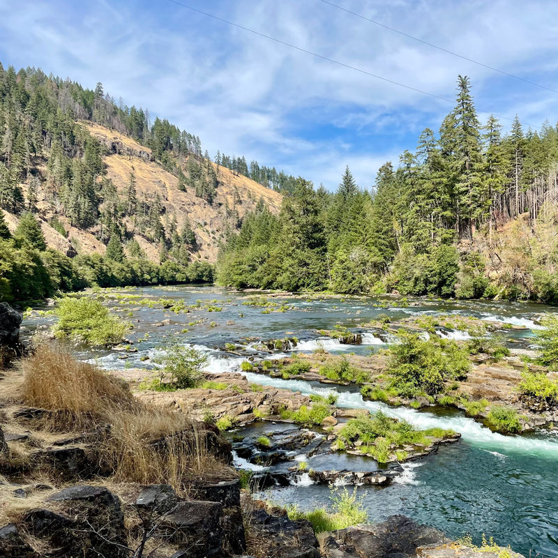 De groene bossen en het water in het Umpqua National Forest
