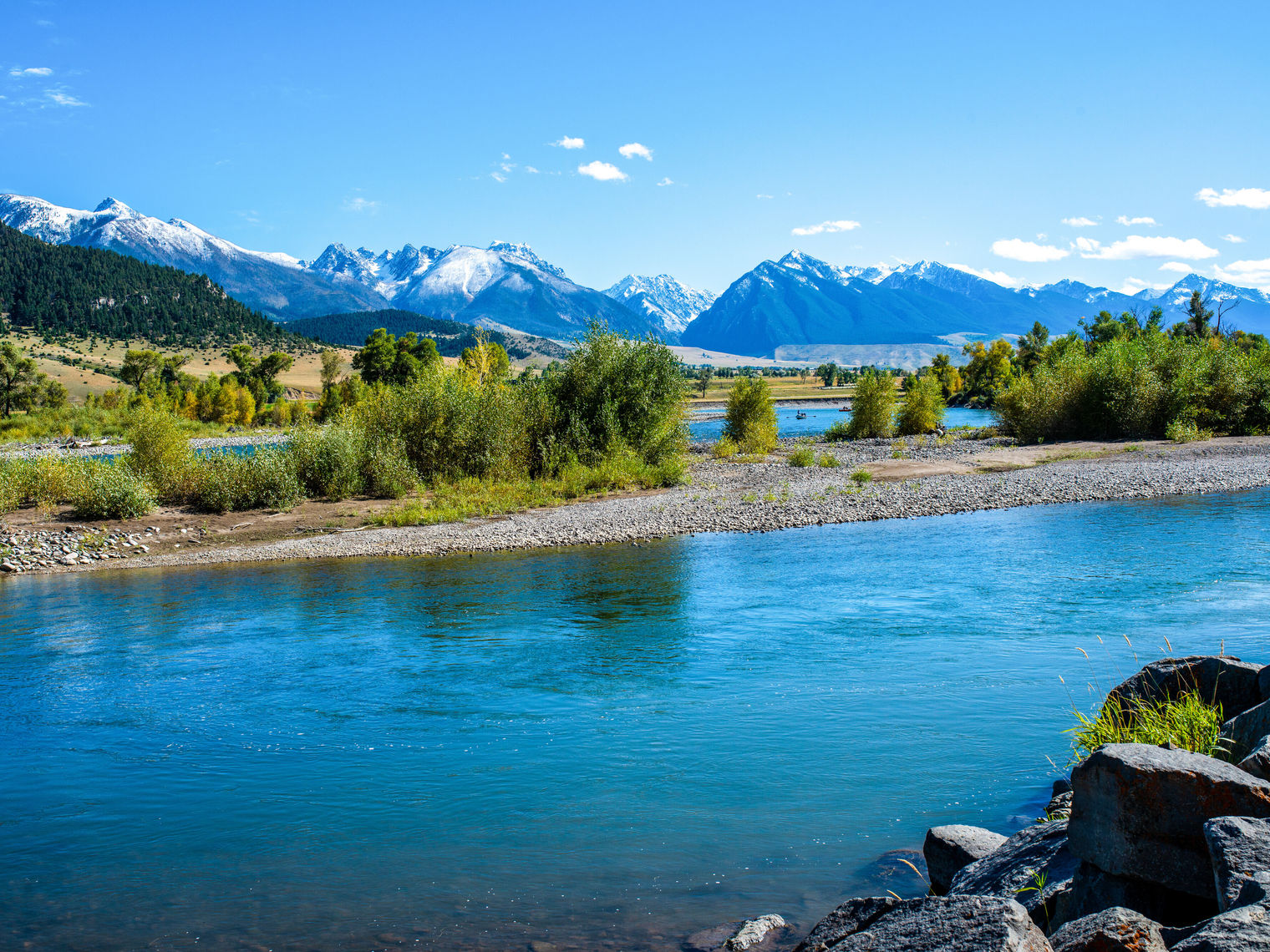 A river runs through Yellowstone National Park, with snowy mountains and green trees in the background
