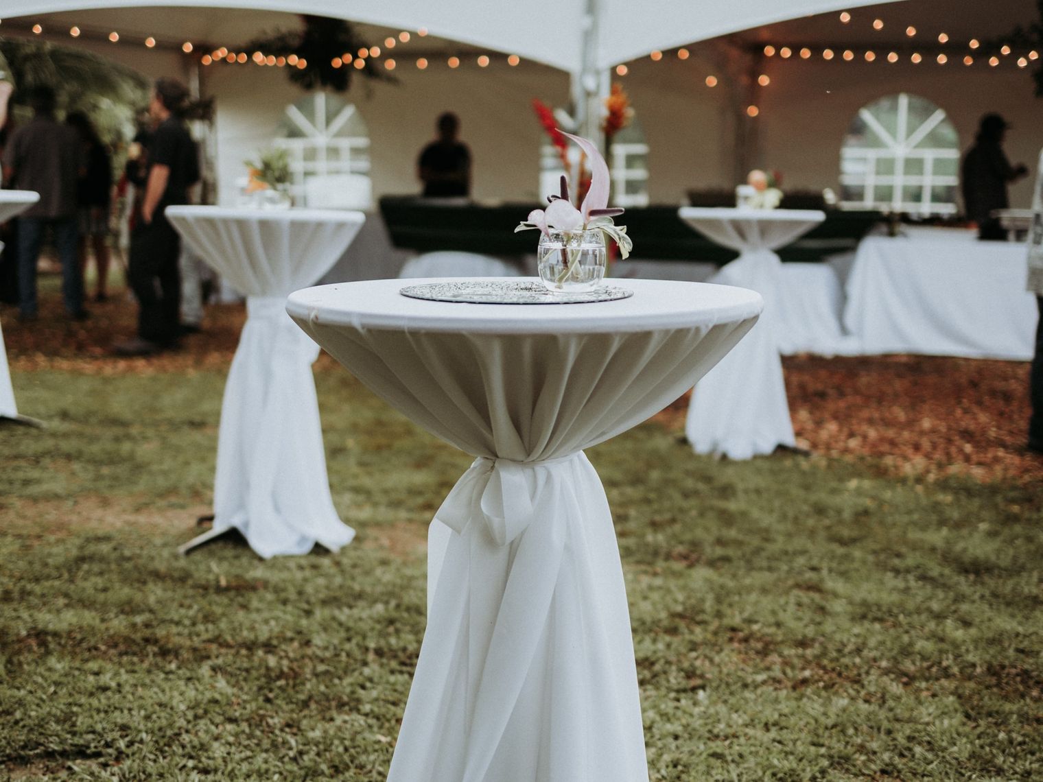 Us hawaii wedding tent unsplash