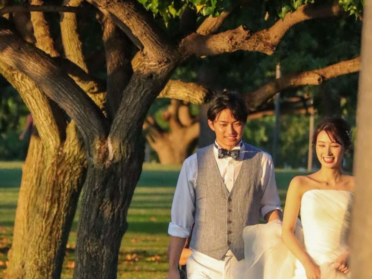 Us hawaii wedding trees unsplash