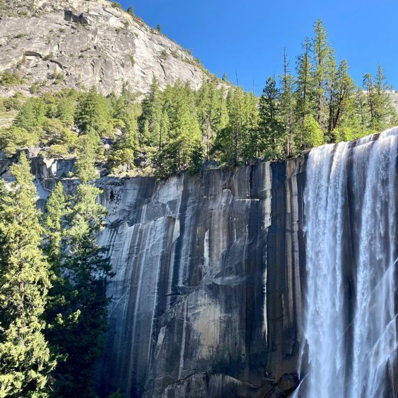 Vernal Fall cascading over a sheer granite cliff in Yosemite National Park, surrounded by tall pines and bright mountain light.