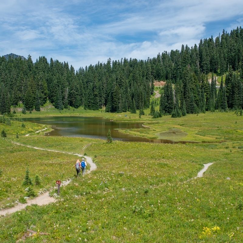 Twee mensen lopen door een groen veld in Mount Rainier National Park met op de achtergrond de groene bossen en een kleine waterplas