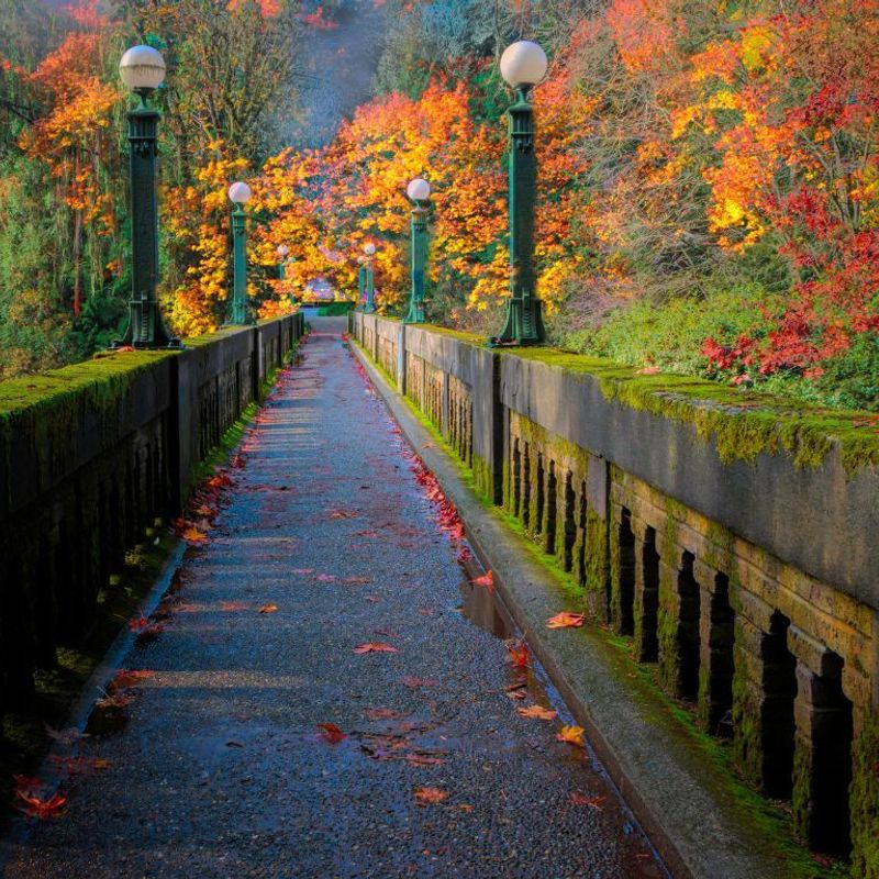 US Washington State Seattle Arboretum Bridge in Fall