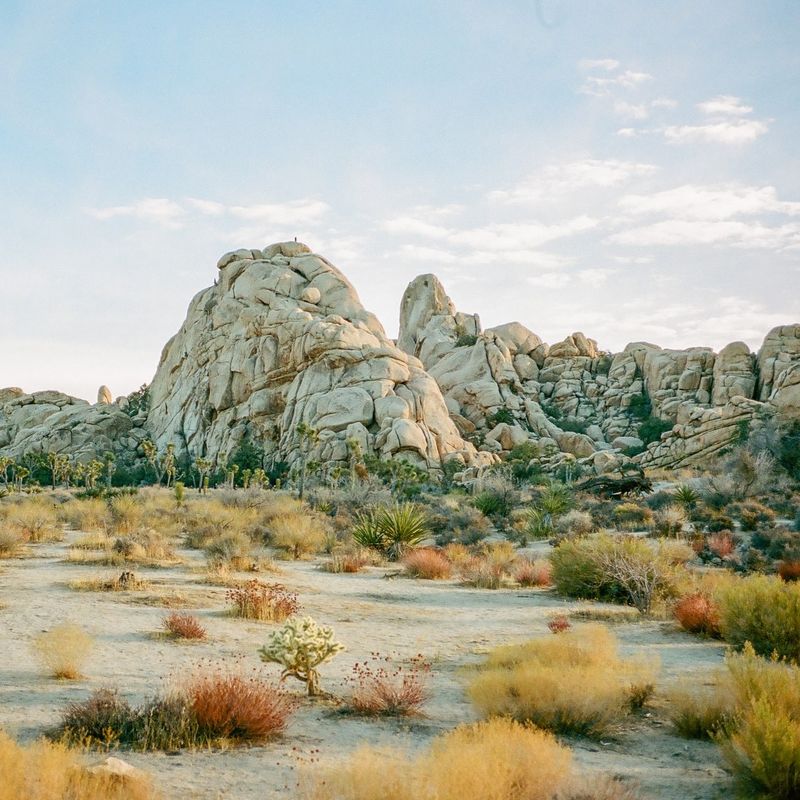 A rocky landscape in Joshua Tree National Park, California, USA