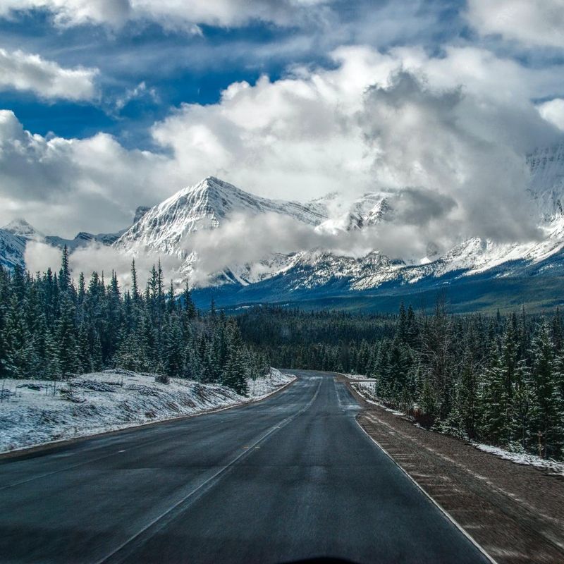 Verlaten weg in Yellowstone National Park met besneeuwde bergtoppen en witgroene bomen langs de weg