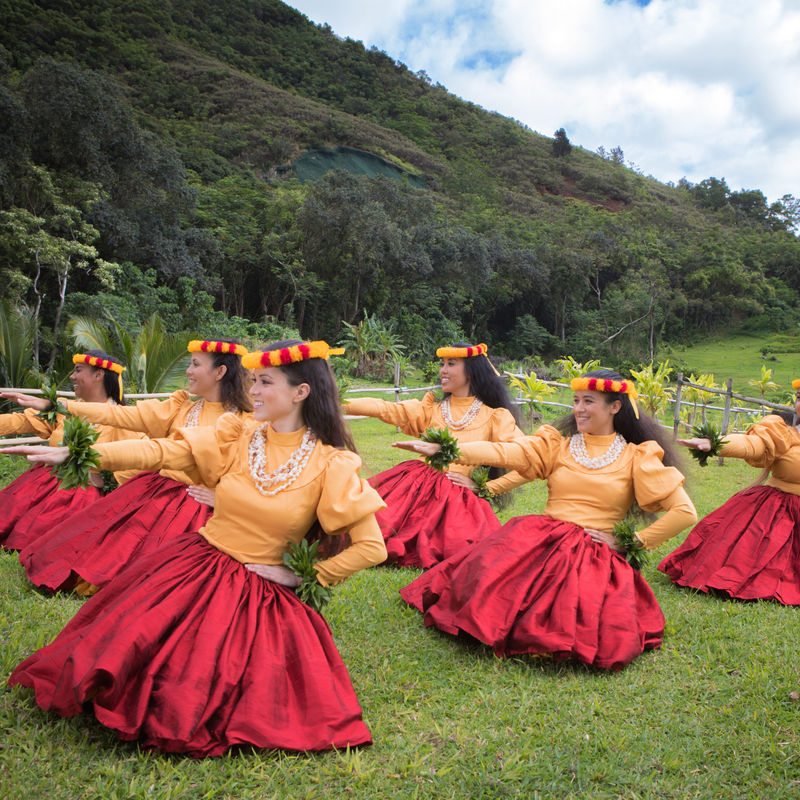 Usa hawaii hula dance culture
