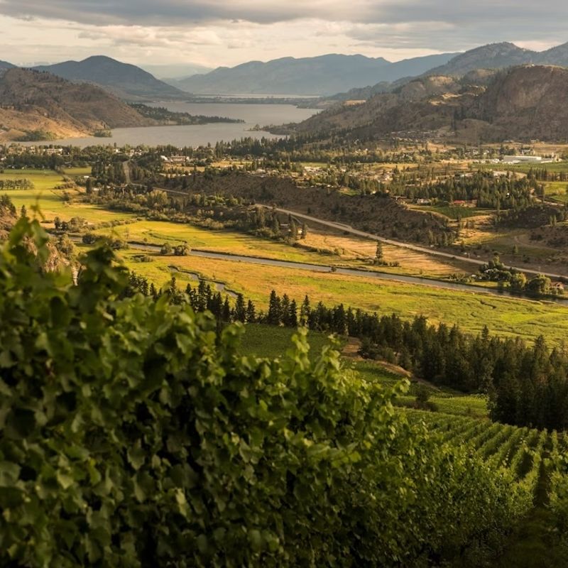 CA British Columbia Okanagan Valley Full View copy