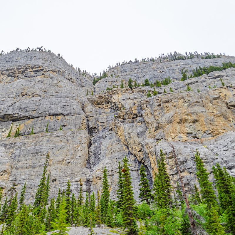 Canada icefields parkway weeping wall summer