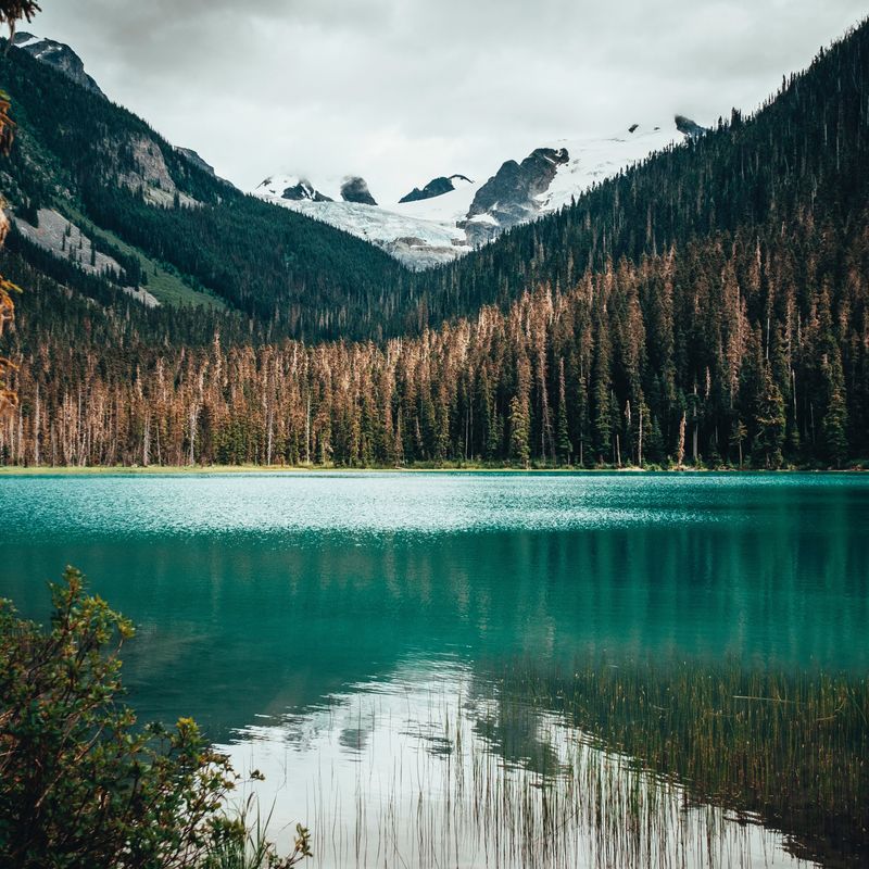 Pemberton