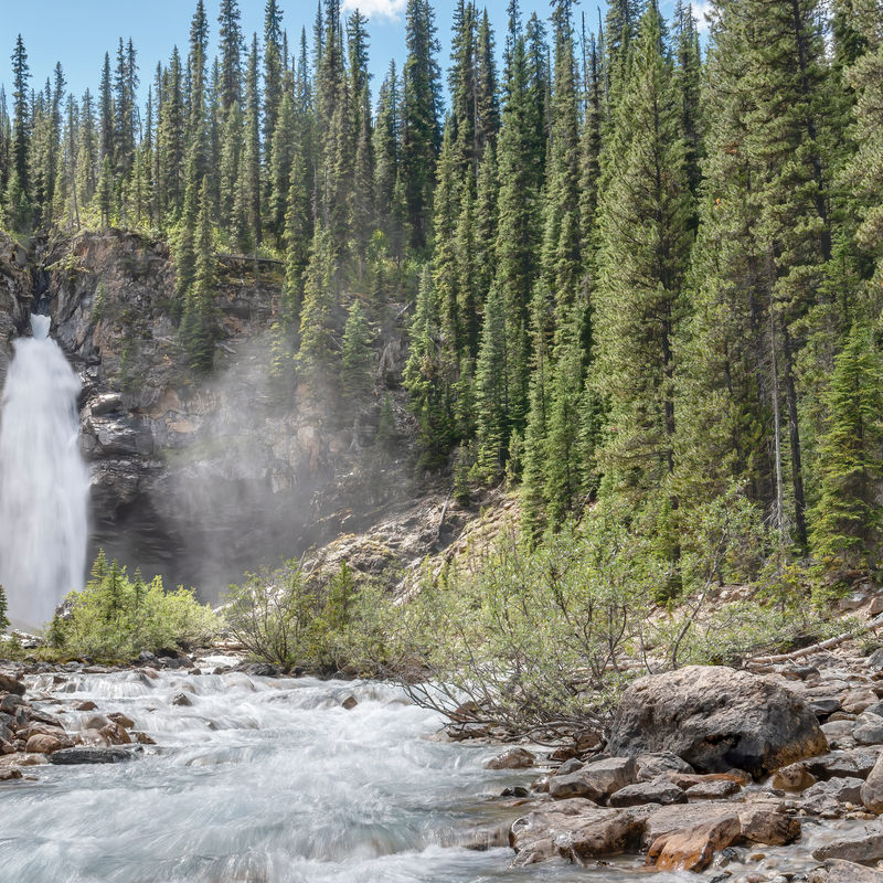 De Laughing Falls die uitmondt in een stromende rivier, omringd door een dicht naaldbos in Yoho National Park