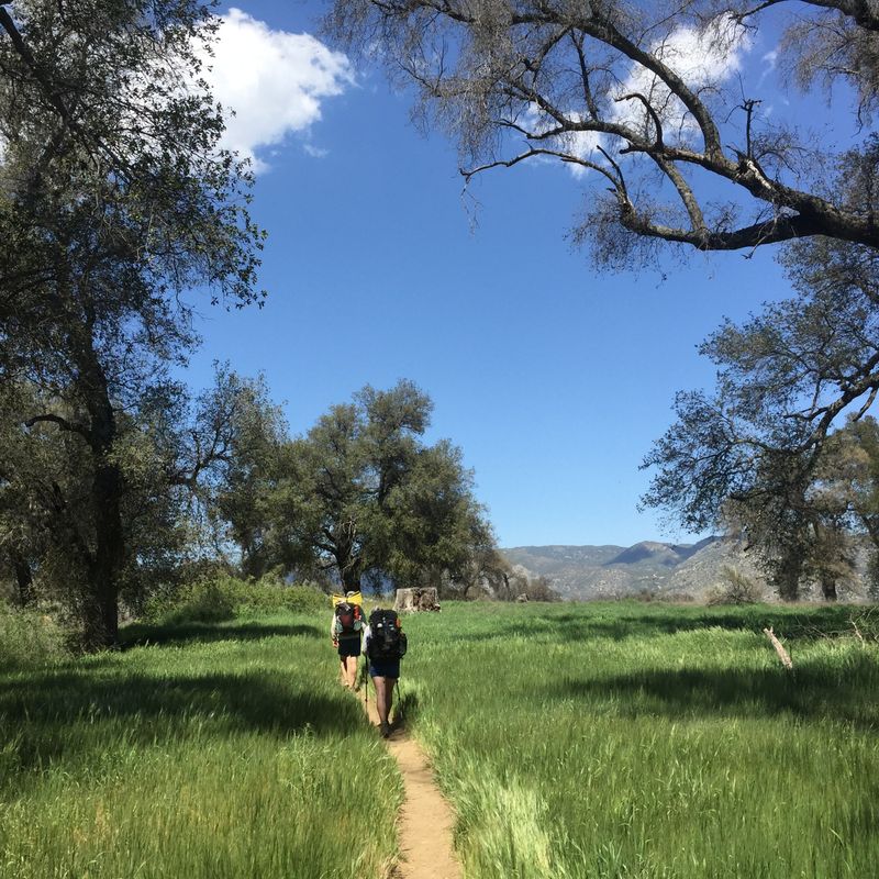 Two hikers walking along a trail fringed by grass in Canada