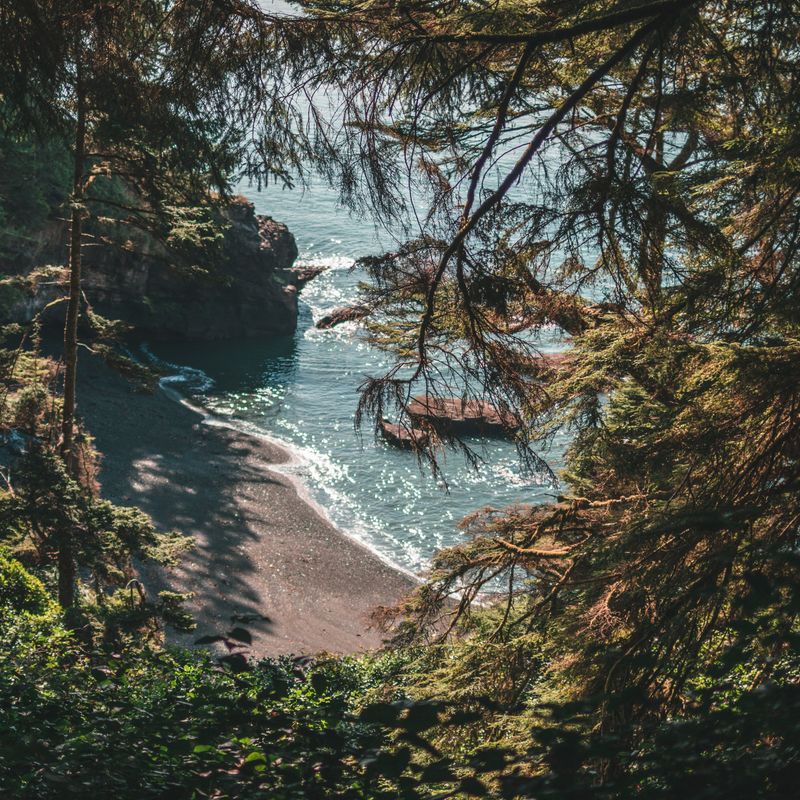 Perspectief vanuit de bossen, uitkijkend op een strandje aan de kust van Vancouver Island in Canada