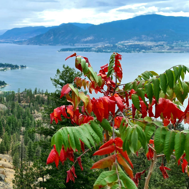 Okanagan valley