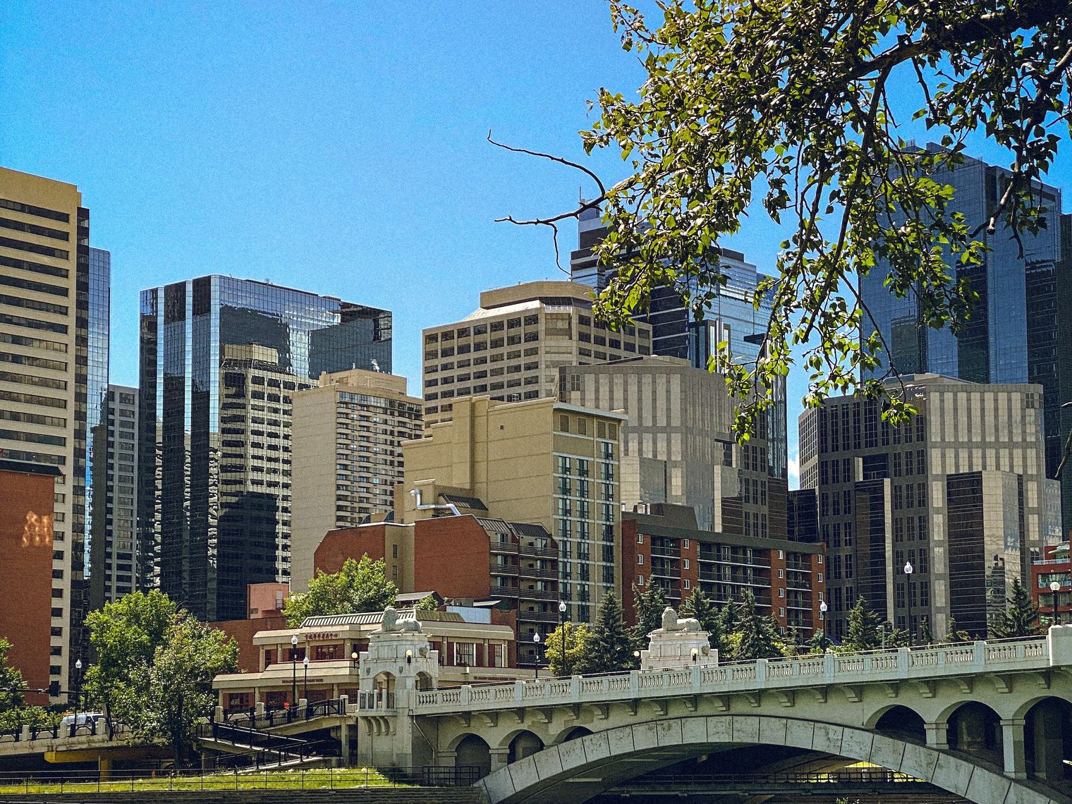 Canada calgary river view