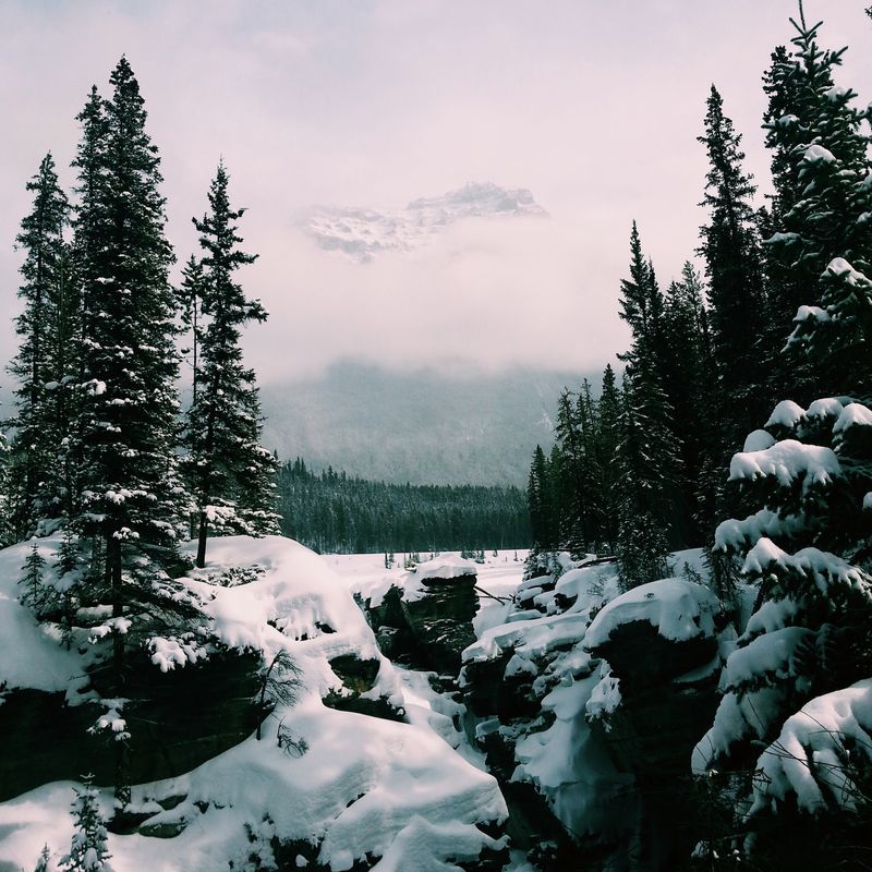 Canada jasper national park Athabasca Falls winter