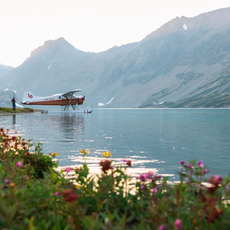 Great bear rainforest canada