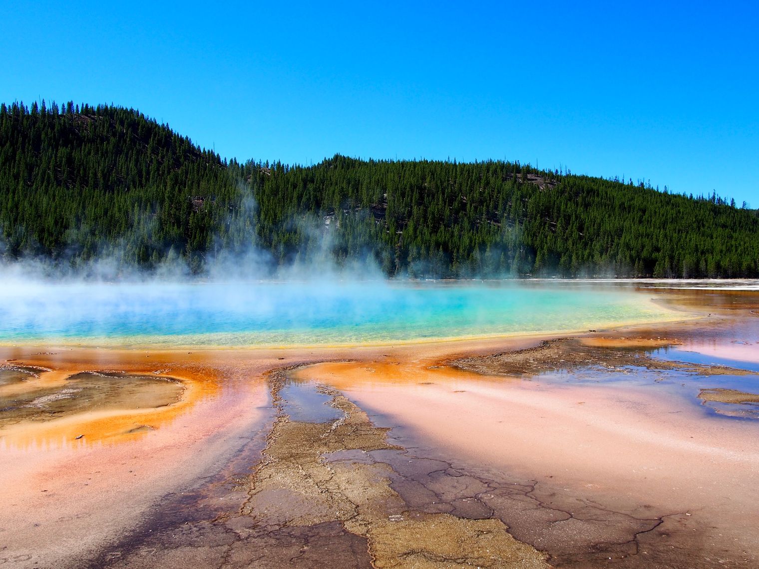 Elizabeth & John Bezzant yellowstone