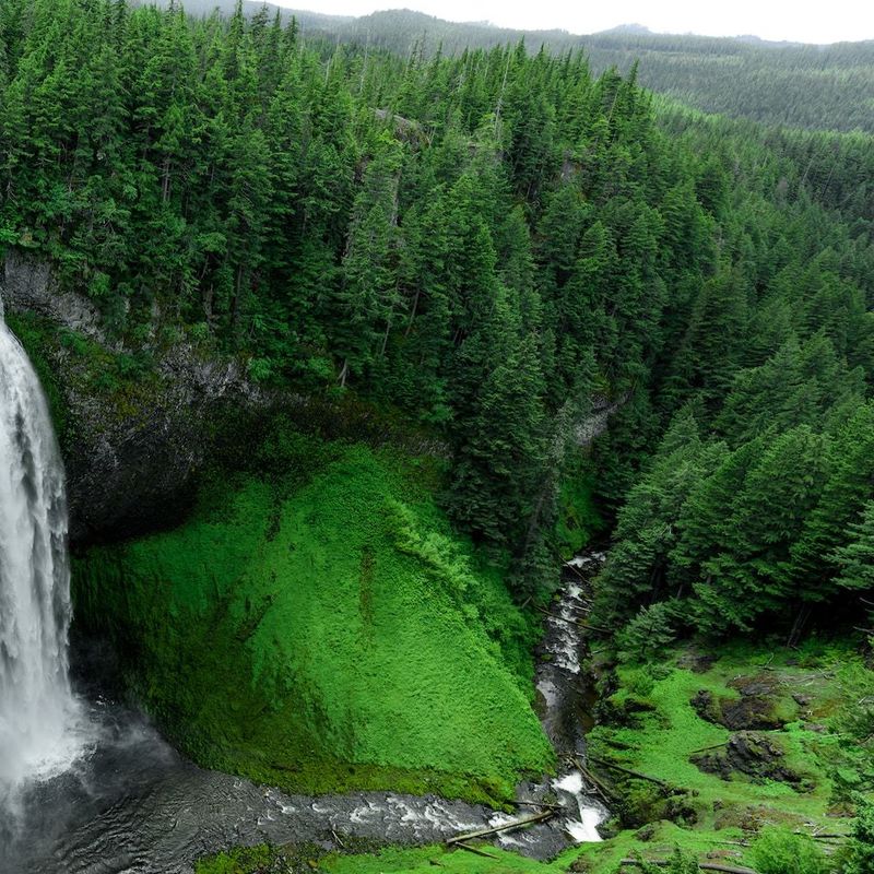 Een machtige waterval stort naar beneden tussen de groene bossen van Oregon