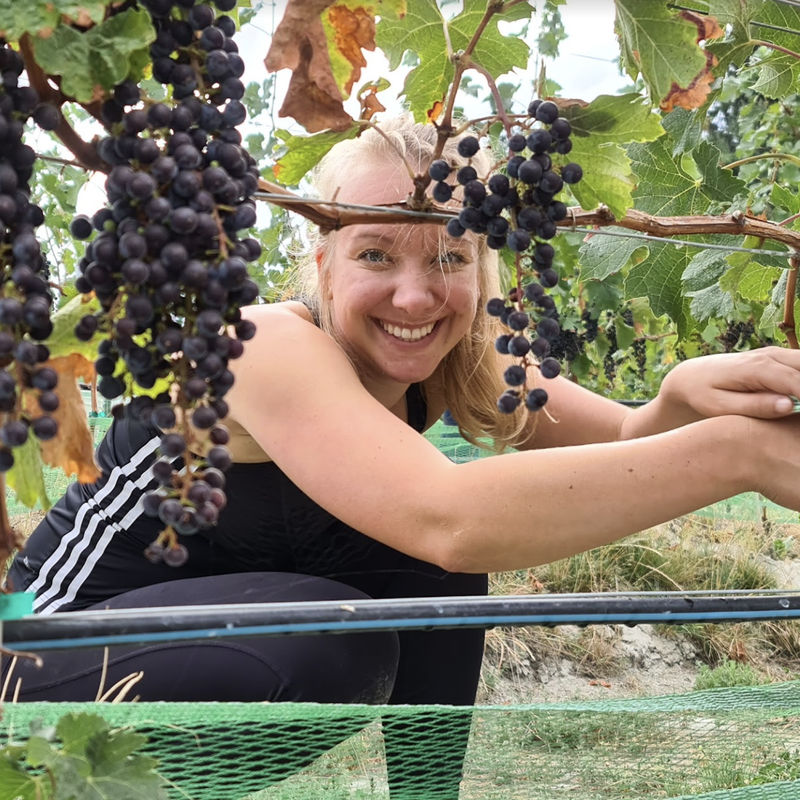 Okanagan valley canada