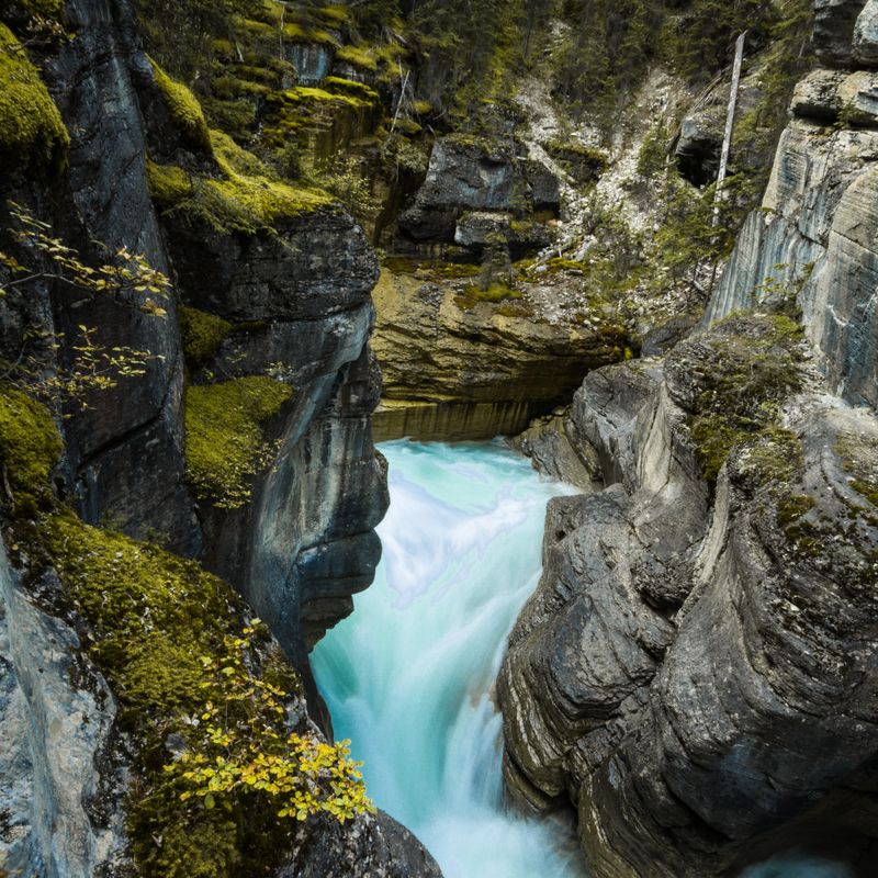 The icefields parkway places canada