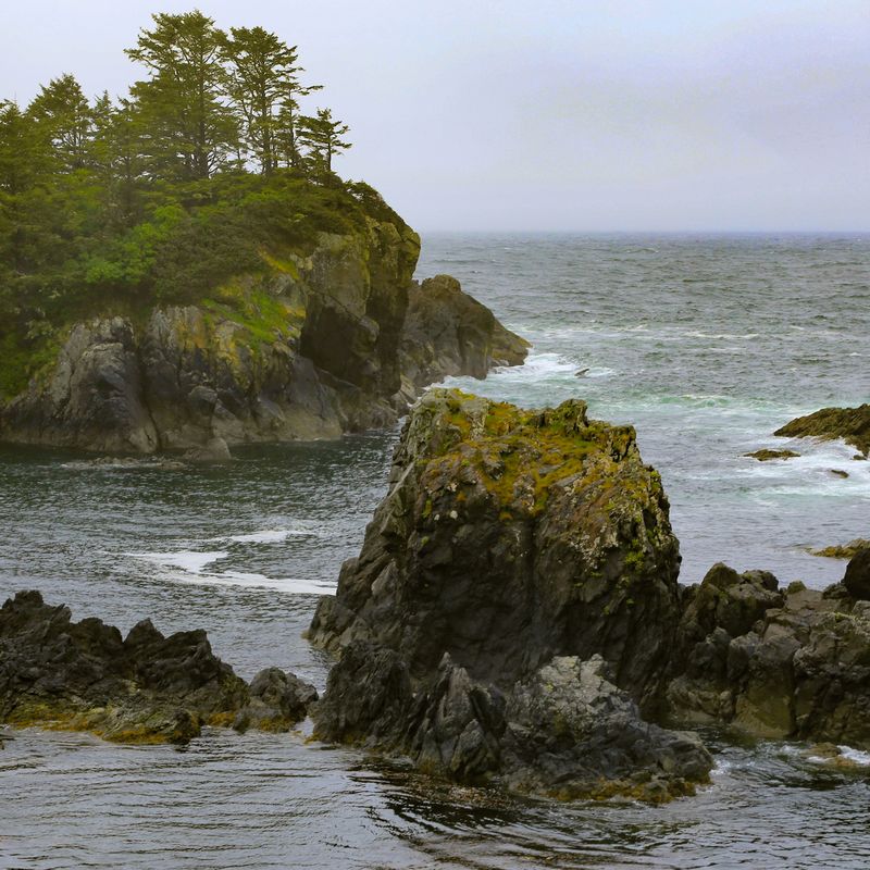 Mike benna unsplash wld pacific trail canada blog