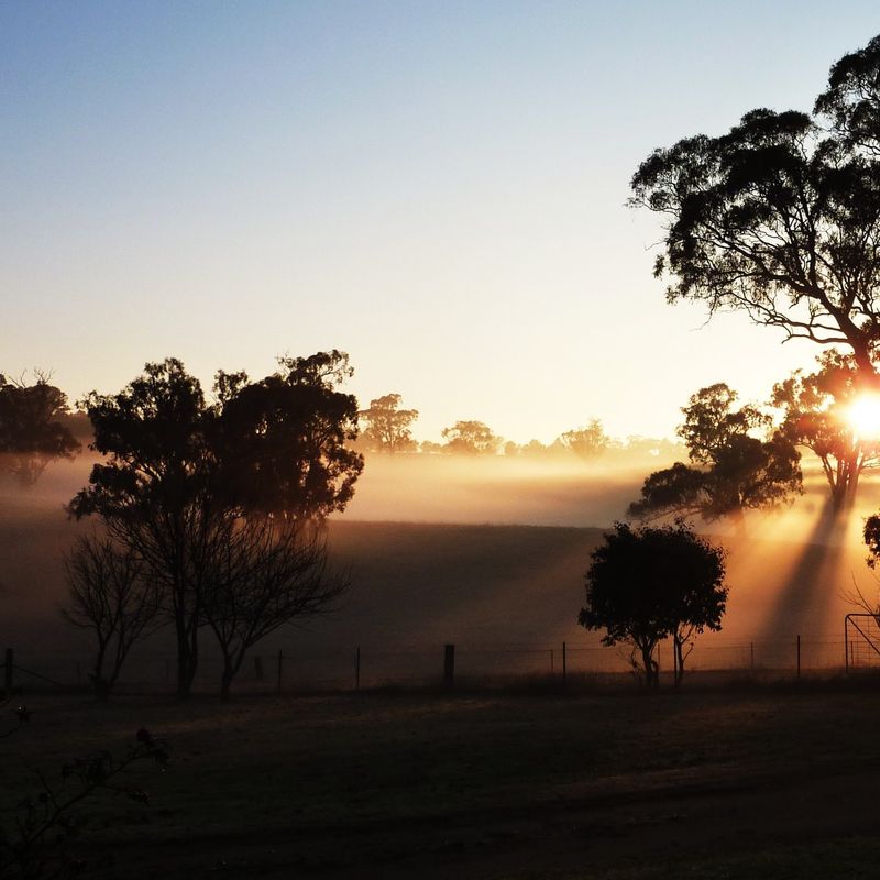 Australien New South Wales Outback