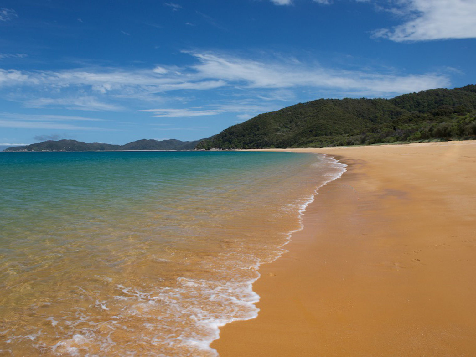 Golden bay