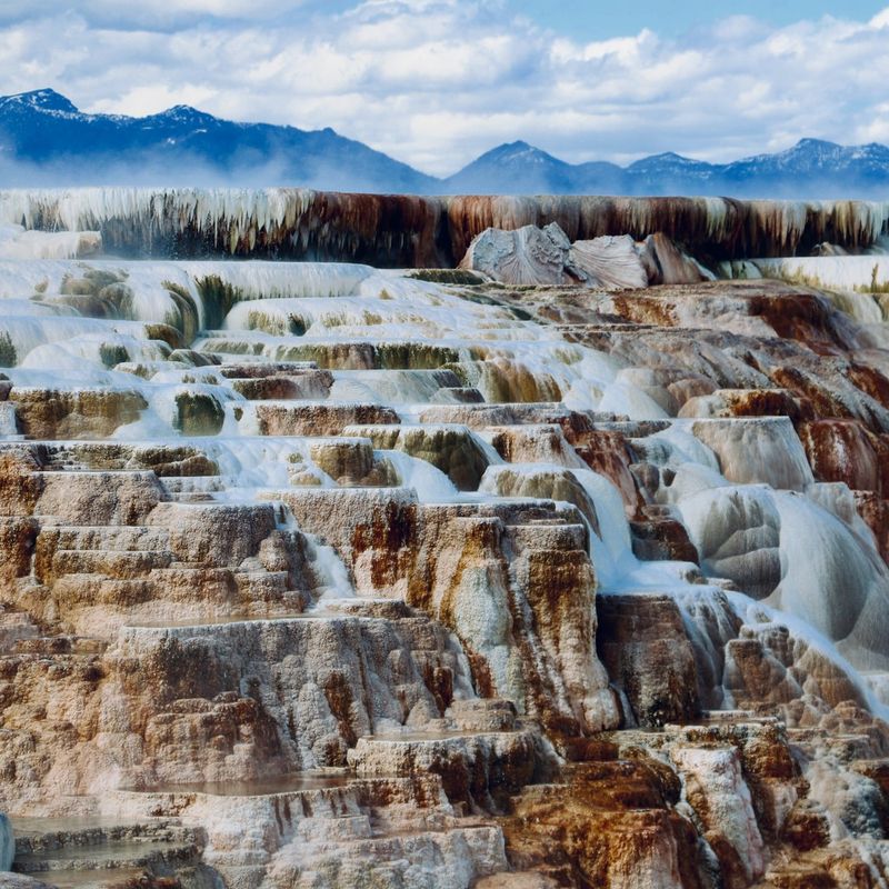 Weiße Kalksteinterrassen mit heißen Quellen im Yellowstone Nationalpark, vor einer Bergkulisse