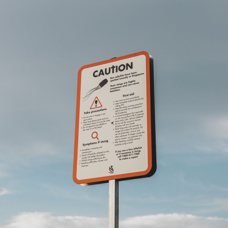 singapore-warning-sign-box-jellyfish.jpg