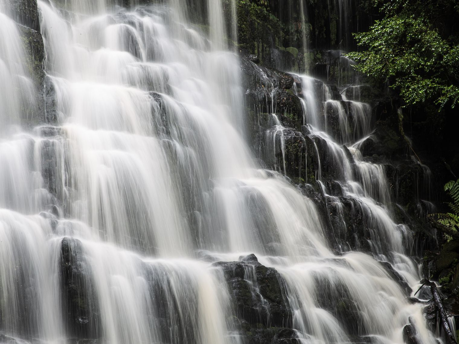 Australien tasmanien liffey falls wasserfall