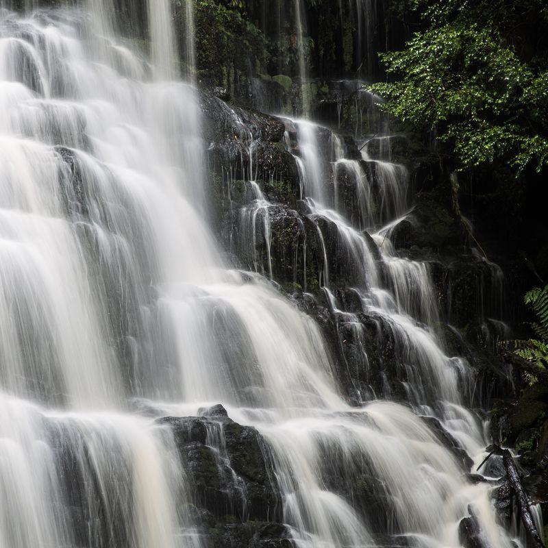 Australien tasmanien liffey falls wasserfall