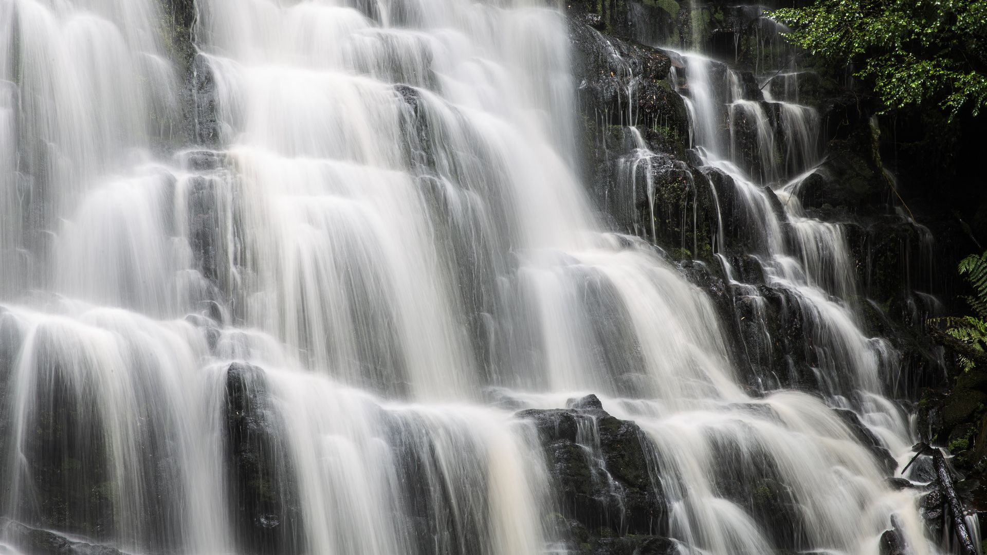 Australien tasmanien liffey falls wasserfall