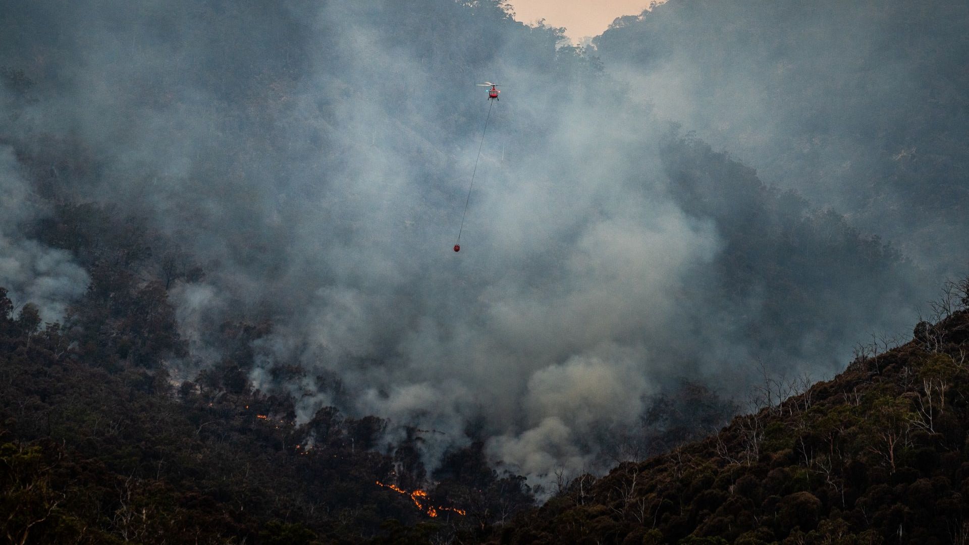 aus-tas-fingal-fight-against-bush-fire.jpg