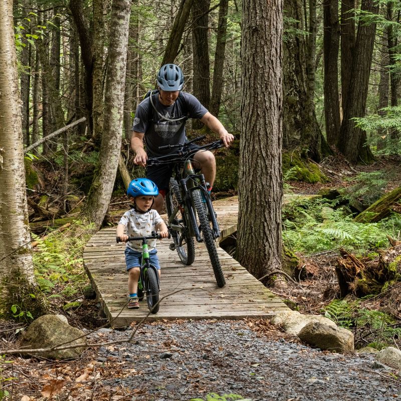 Man en kind op mountainbike in het bos, New England