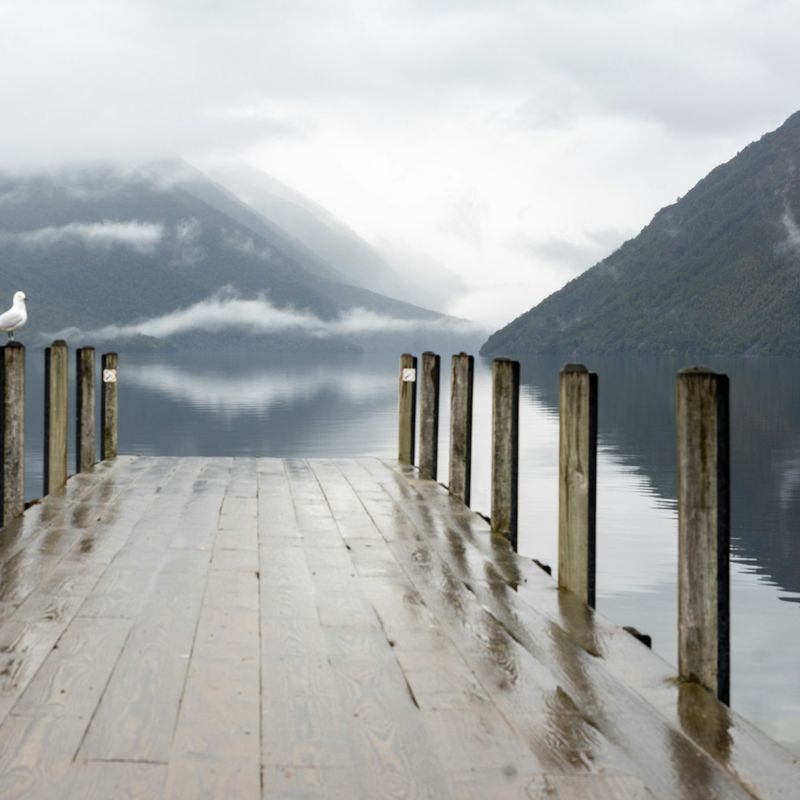 Pier aan meer met meeuw en bergen op achtergrond