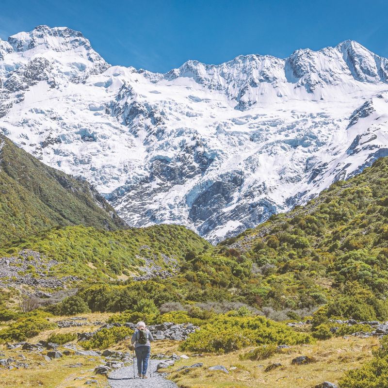 Een solo-wandelaar met wandelstokken op een pad door alpien struikgewas, op weg naar de met sneeuw bedekte toppen van het Aoraki Mount Cook National Park, Nieuw-Zeeland