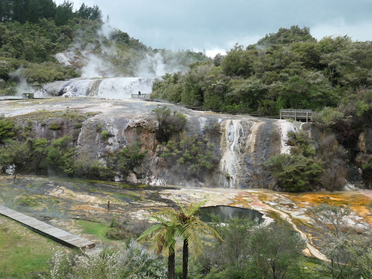 Newzealand north Rotorua clients wenzel