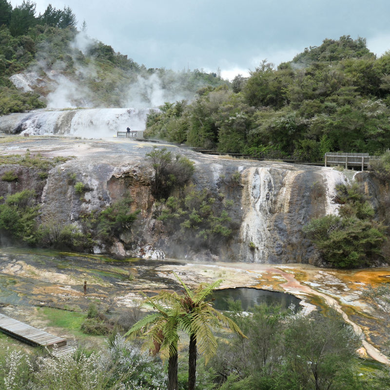 Newzealand north Rotorua clients wenzel
