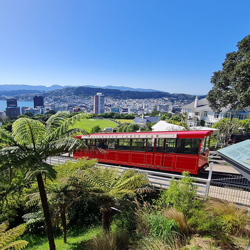 Wellington Cable Car und Ausblick auf die Stadt