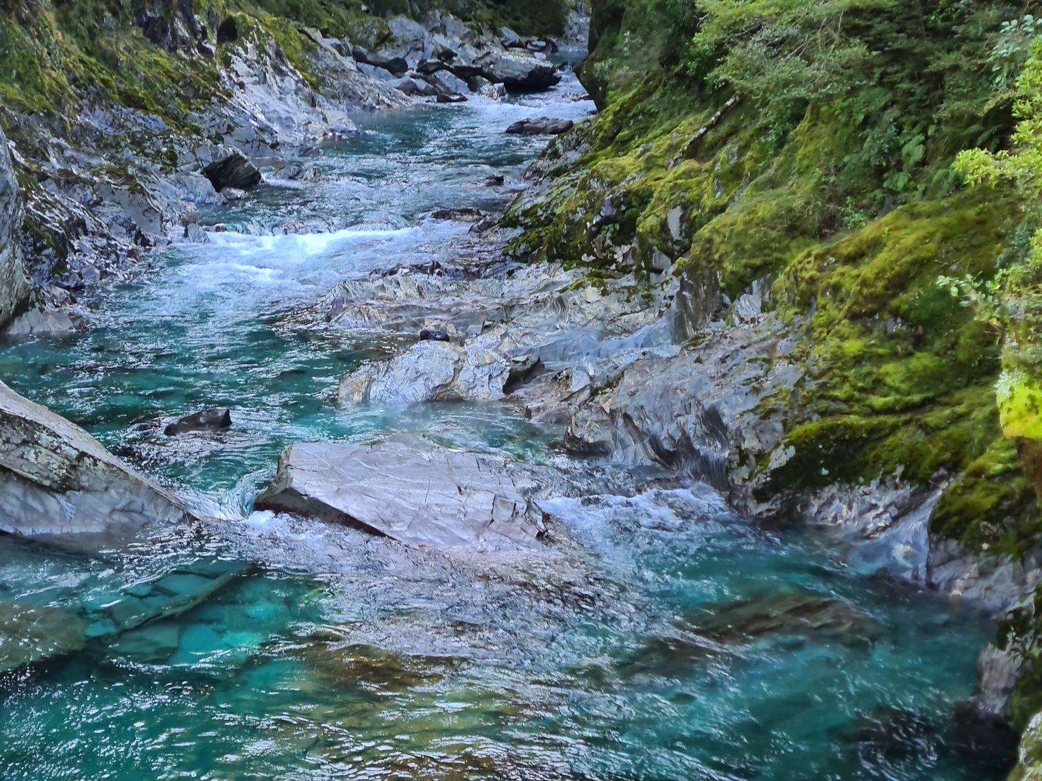 Blue Pool Track im Mount Aspiring Nationalpark