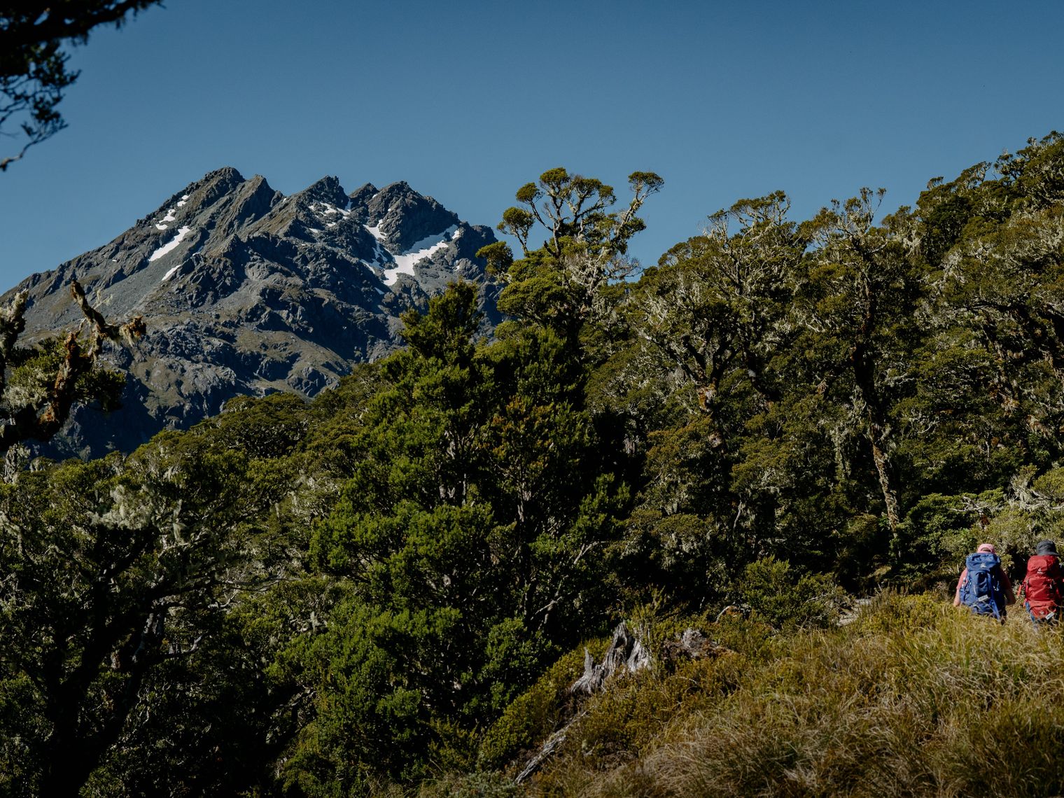 Routeburn Track im Mount Aspiring Nationalpark
