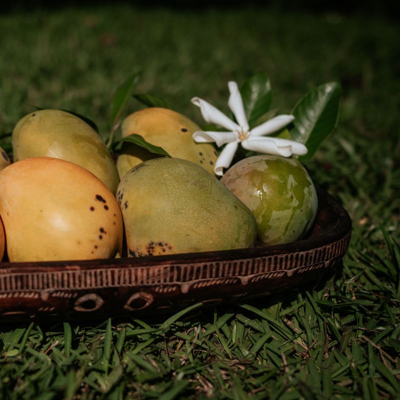 Stille eilanden Tahiti mango's in een kom op het gras