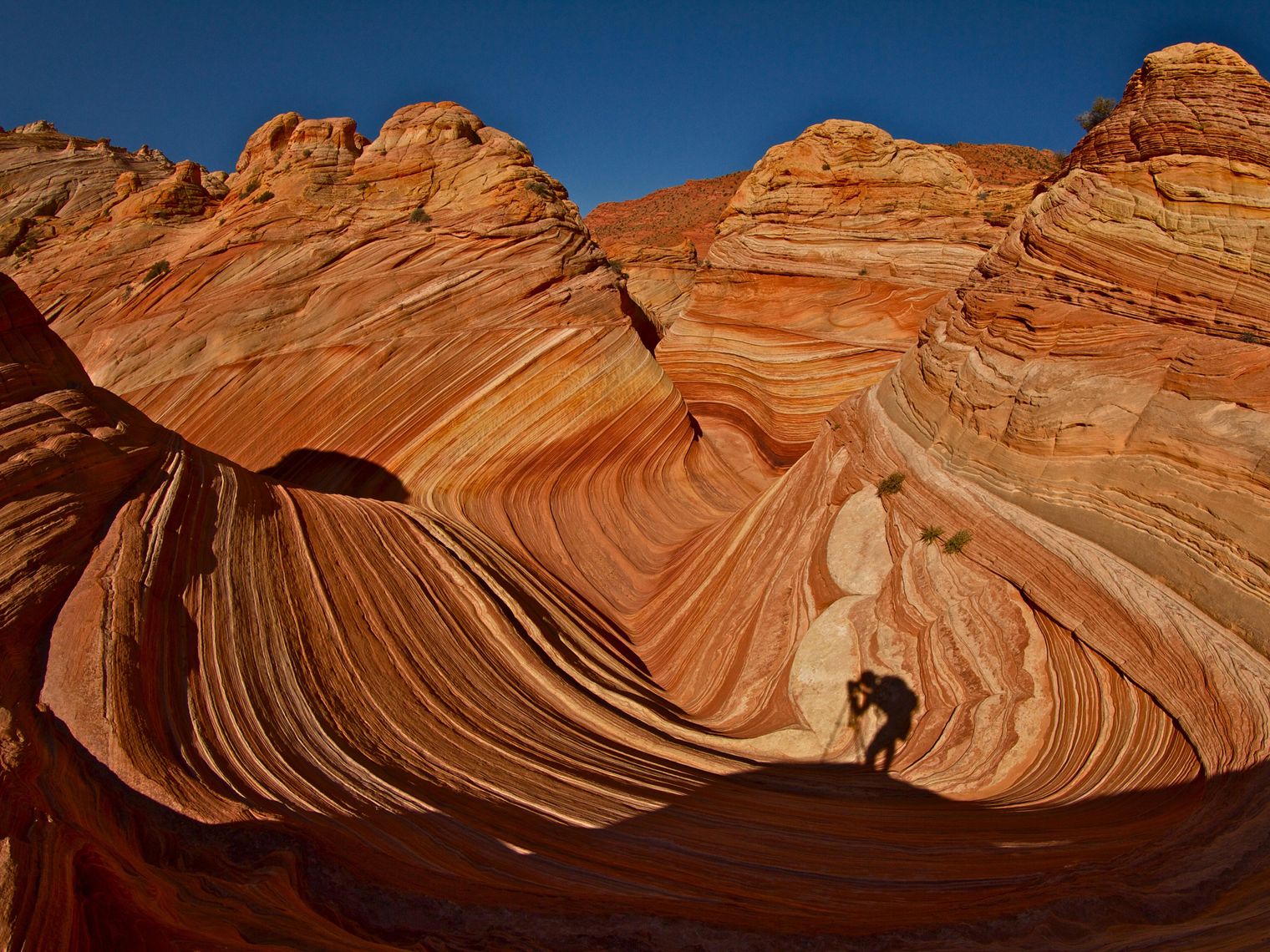 Stephen leonardi unsplashed the wave usa