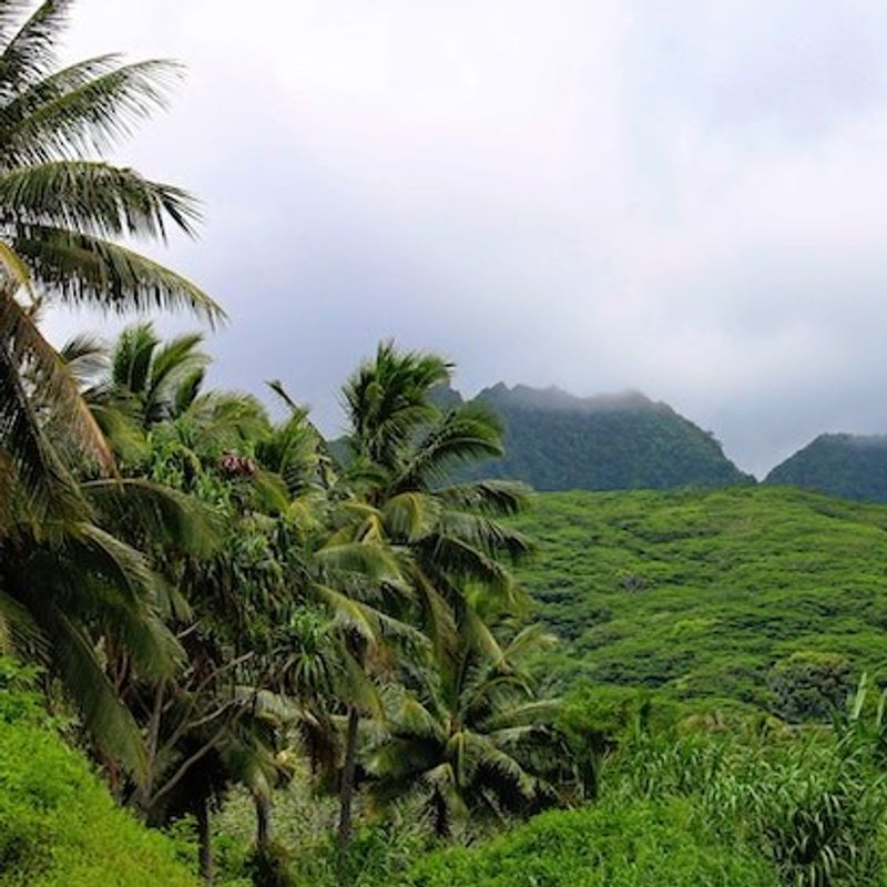 TE Cook Islands Rarotonga Regenwald