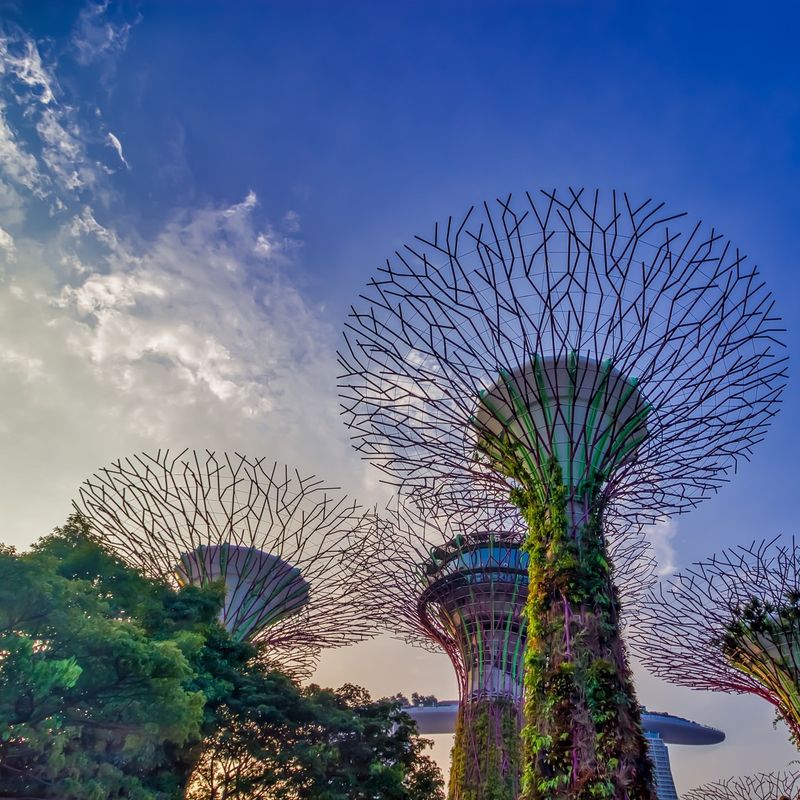 Kleurrijke plantenbeelden op de luchthaven van Singapore